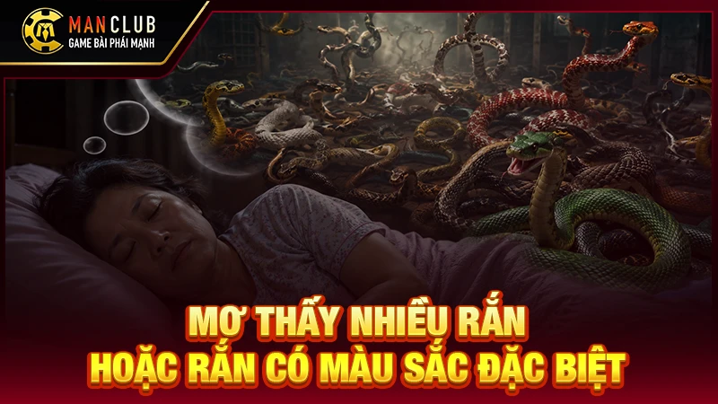 Mơ thấy nhiều rắn hoặc rắn có màu sắc đặc biệt