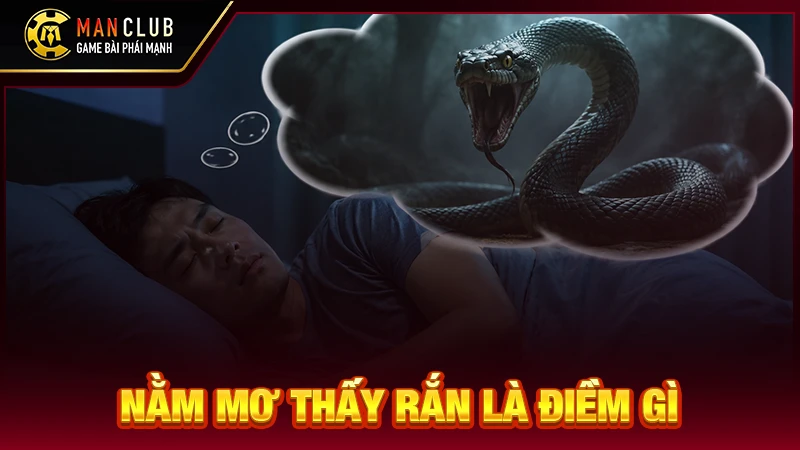 Nằm mơ thấy rắn là điềm gì